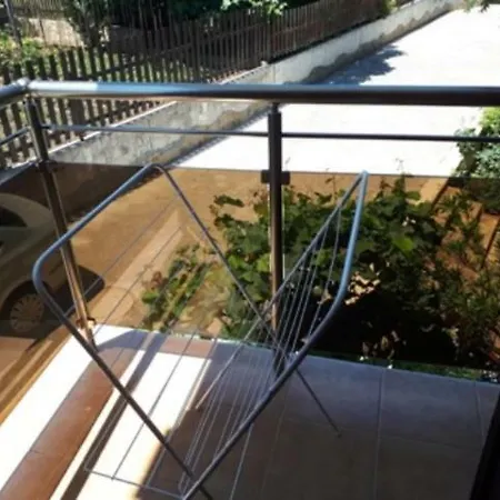 виламимоза;созополбуджака